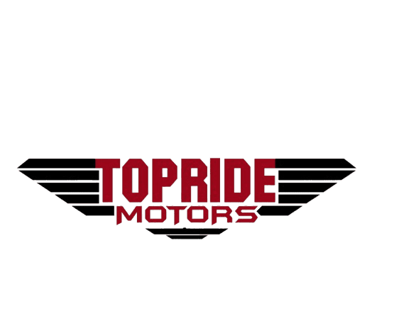 Client Logo 6